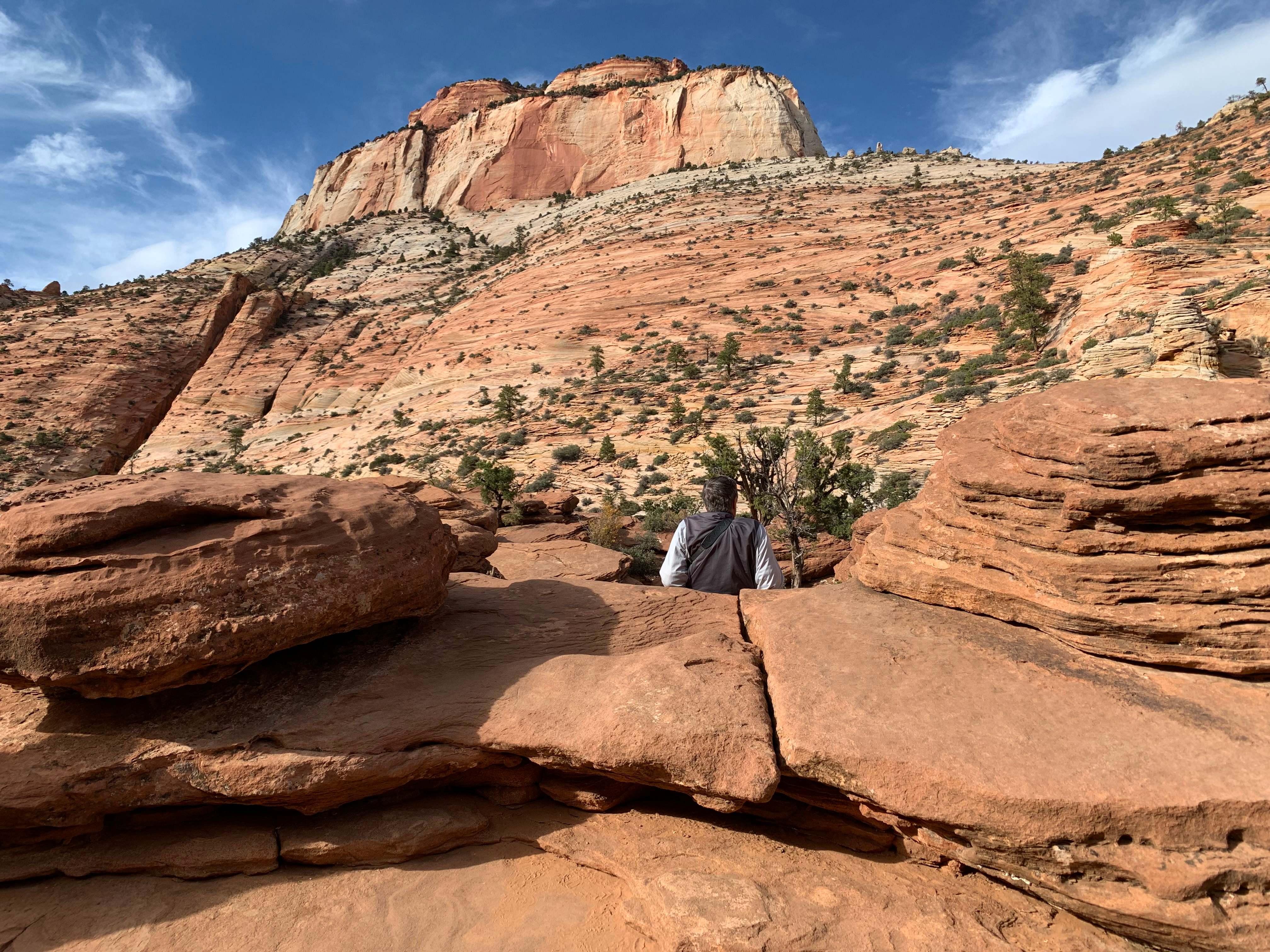 Zion NP